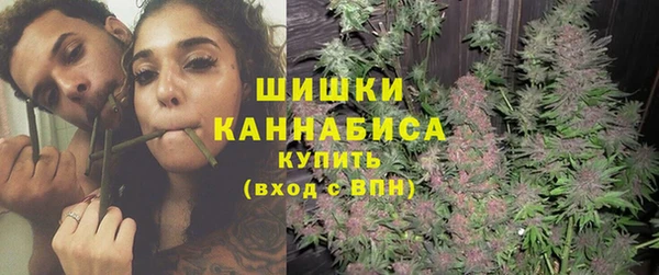 бошки Мегион