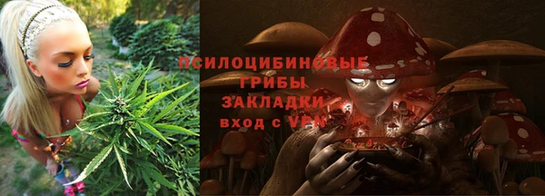 бошки Мегион